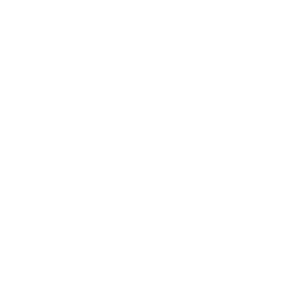 budweiser-budvar-1-white